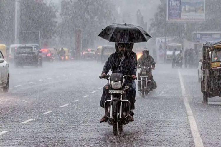 Rain is expected to resume in many areas of Rajasthan next week.