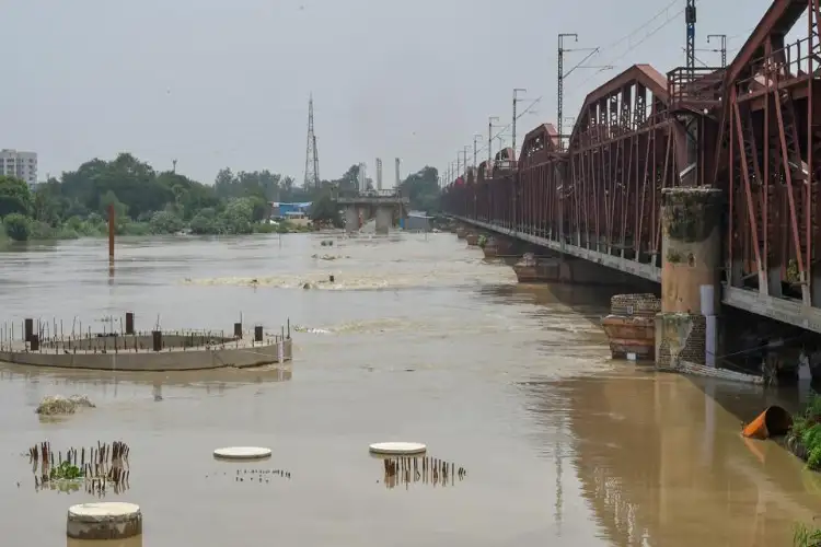 NGT says Yamuna flood plain order not fully followed, seeks fresh report from MCD, DPCC