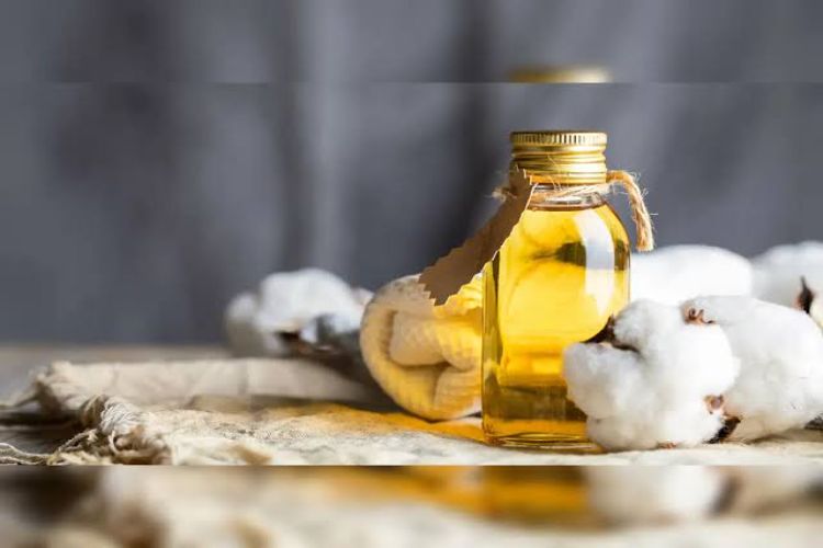 Cottonseed oil cake futures prices rise on fresh buying by speculators