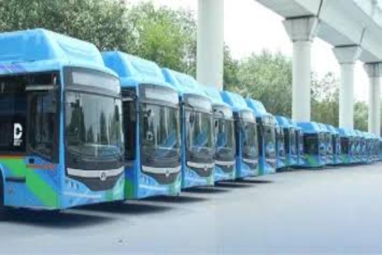  the purchase of 250 electric buses for the Transport Corporation.