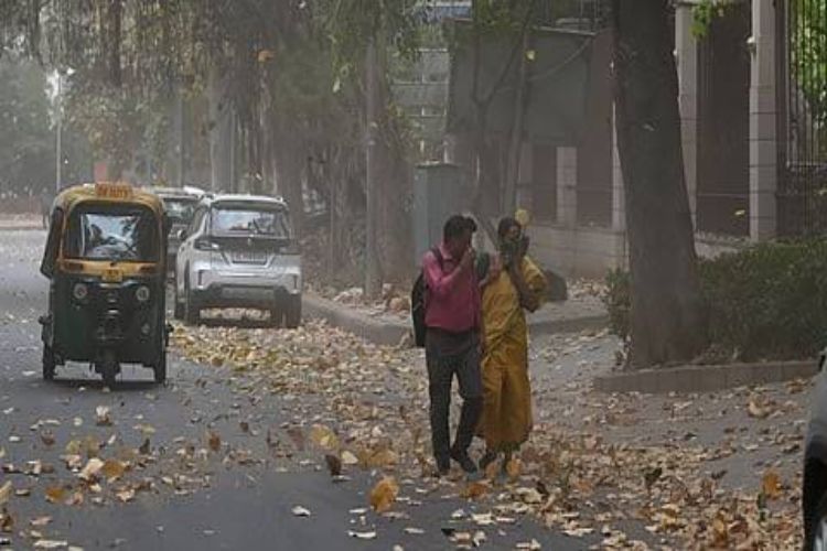 Delhi's weather remained warm in the morning amid light rain.