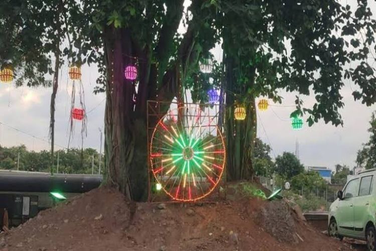 Madurai: 107-year-old banyan tree celebrates its birthday