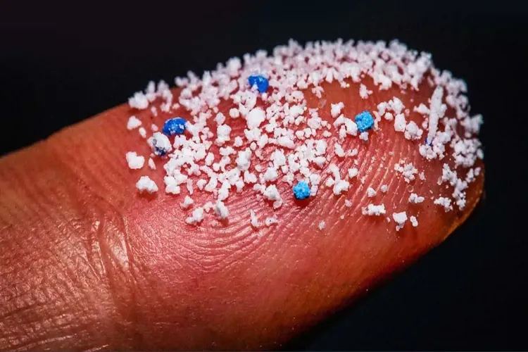 Microplastics are entering the body through food and drink; learn how to avoid them.