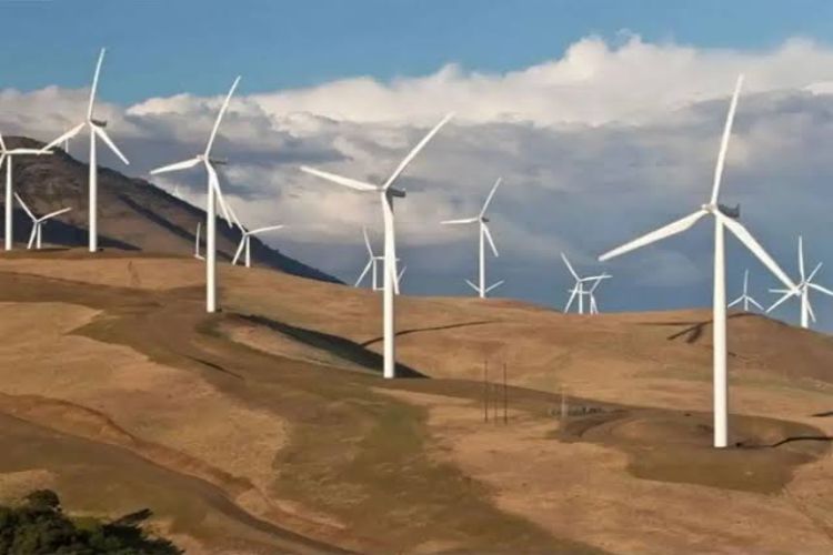 Inox Wind bags Rs 1,600 crore contract from NLC India