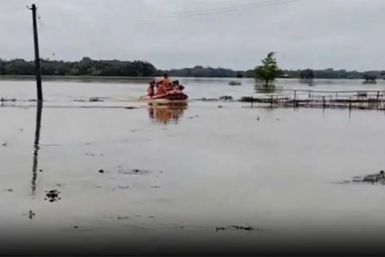Assam floods: Death toll rises to 80; over 1.92 lakh affected across five districts