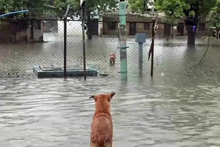 Heavy rains cause flood-like situation in Kerala, woman dies in landslide in Idukki