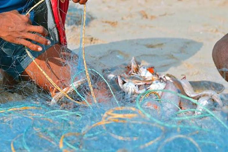 17 fishermen stranded in the sea off Kozhikode coast rescued safely