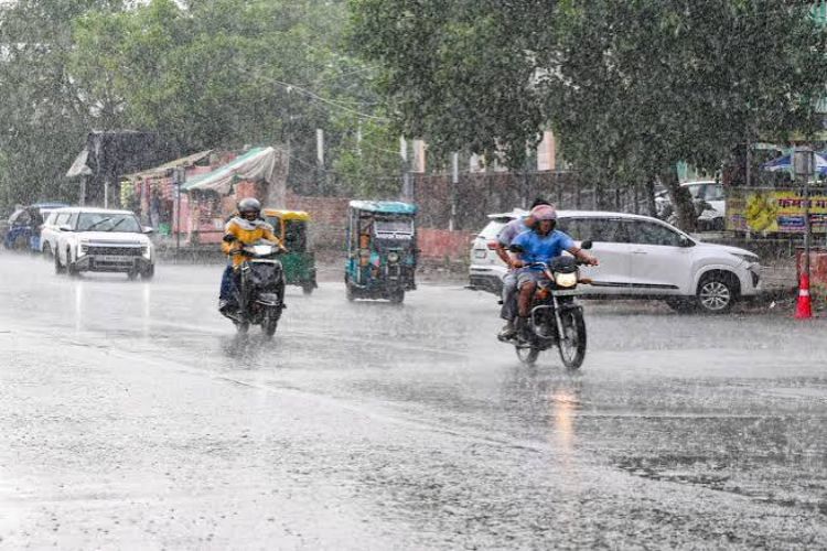 Mandawar in Dausa received 107 mm of rain; monsoon to resume in Rajasthan from August 6