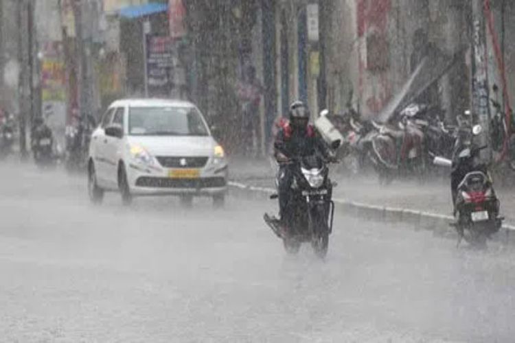 Heavy rains lash northern Kerala, IMD issues red alert in eight districts