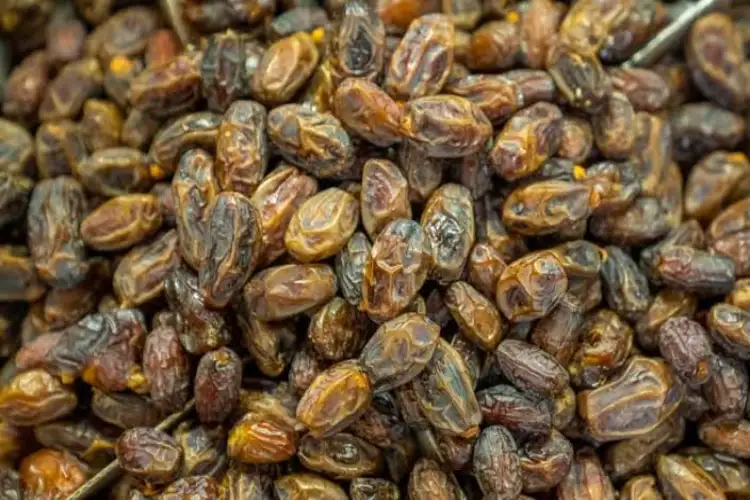 DRI seizes 364 MT of Pakistan-origin dry dates worth Rs 3 crore routed via UAE