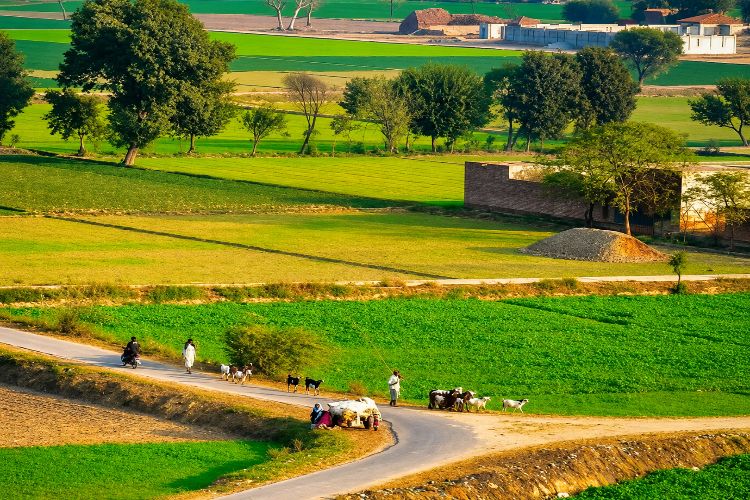 Village Roads and Development: Rights, Needs, and the Complex Reality of Land
