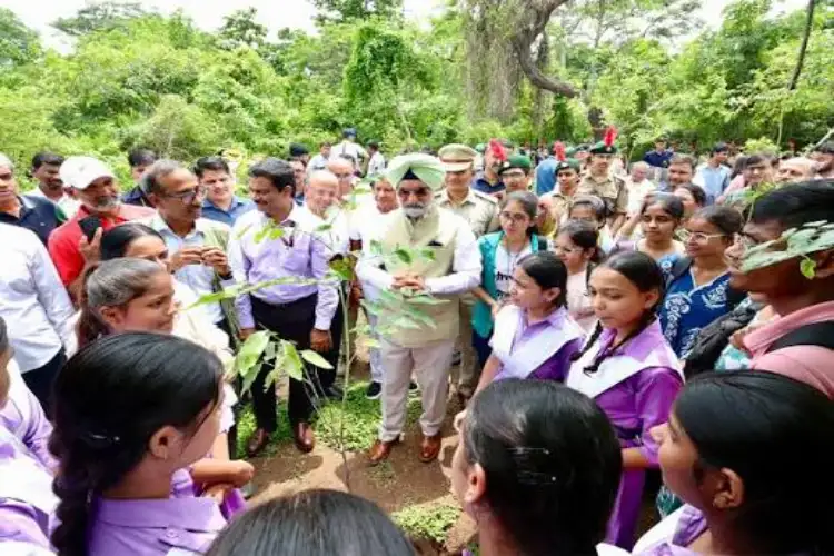 Delhi: DDA launches digital monitoring system to track sapling survival in mega plantation drive following LG directives