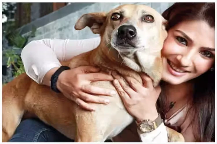 Special screening of 'Oh My Dog'; Raveena Tandon appeals for compassion towards animals.