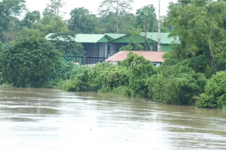 Assam: Floods inundate Golaghat, Numaligarh as Dhansiri flows above danger mark; families shifted to relief camps