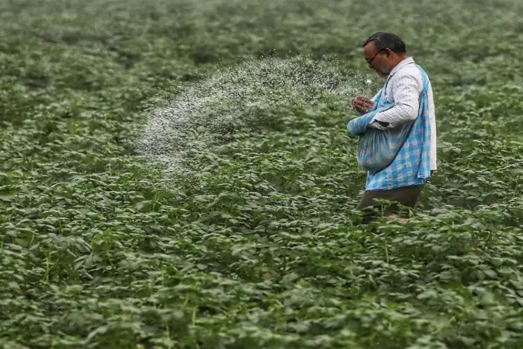 Govt says fertiliser DBT ensures 'no denial' of subsidised fertilisers to all eligible farmers