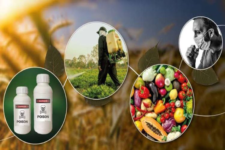 No study has been conducted on agricultural land affected by chemical fertilizers and pesticides.