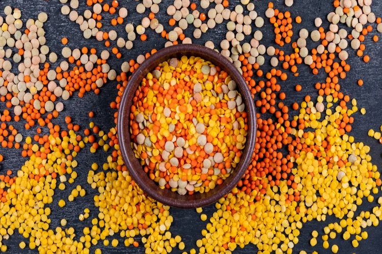 Which lentil has the highest protein content? Find out all the details.
