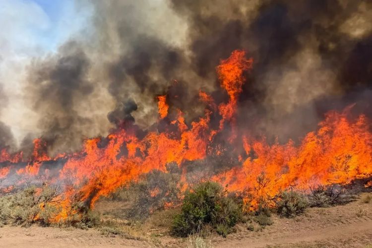 A helicopter engaged in wildfire fighting crashes in Utah, killing a bulldozer operator in Oregon.
