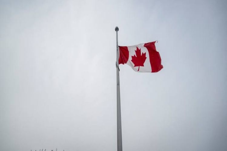 A record 3,323 Indians were deported from Canada in the first half of 2026: Data