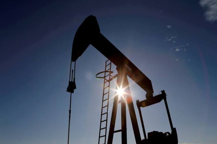Crude oil futures rose by Rs 51 to Rs 7,475 per barrel.