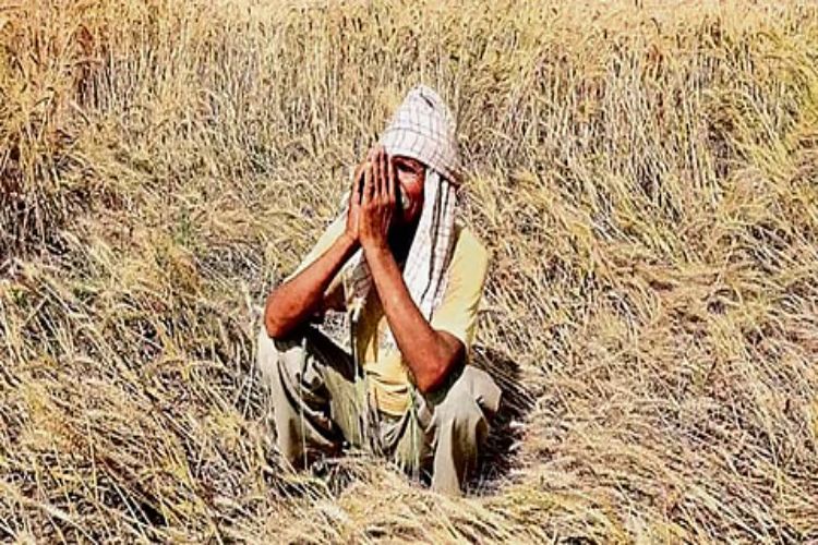 Odisha: Two farmers attempt suicide during District Magistrate's grievance hearing