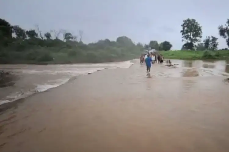 MP: Betwa River swells following heavy rains in Vidisha, rescue teams on alert