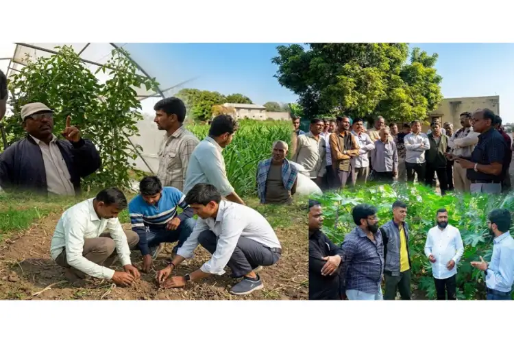 Four Centres of Excellence to be set up in Gujarat to promote natural farming