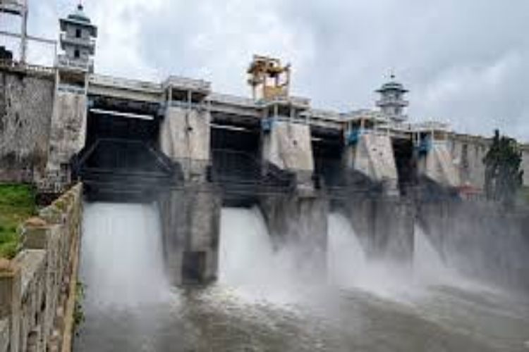 Karnataka should release 12,000 cusecs of Cauvery water daily for 15 days to Tamil Nadu: CWRC