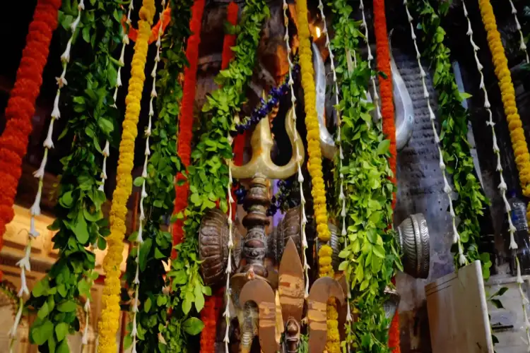 Kashi Vishwanath Dham decked up in flowers and lights for Nag Panchami