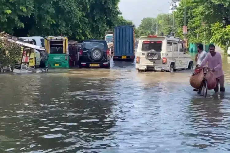 Allahabad High Court takes suo motu cognizance of waterlogging issues in Prayagraj