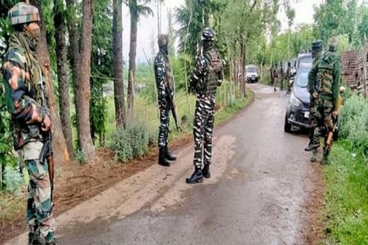 Jammu and Kashmir: Search operation launched in Kathua after suspicious activity