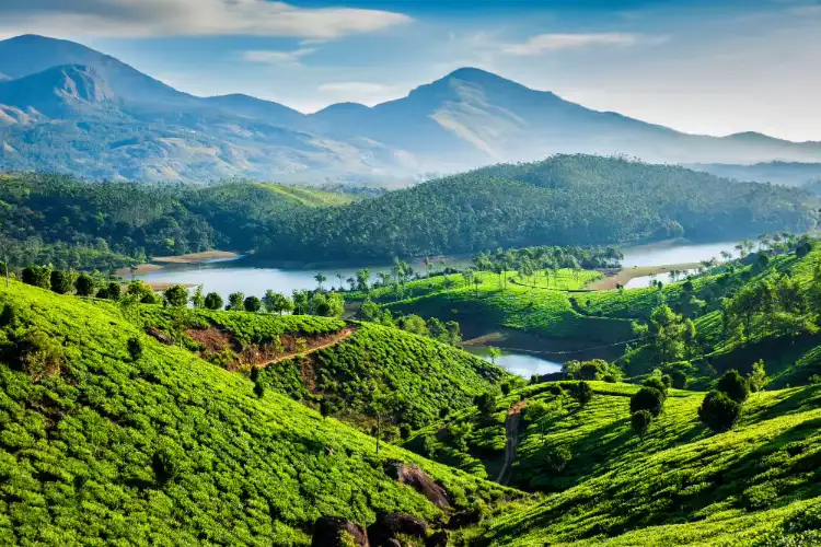 Keralam: Lost bags recovered, American tourists praise Thalassery traffic police, auto driver