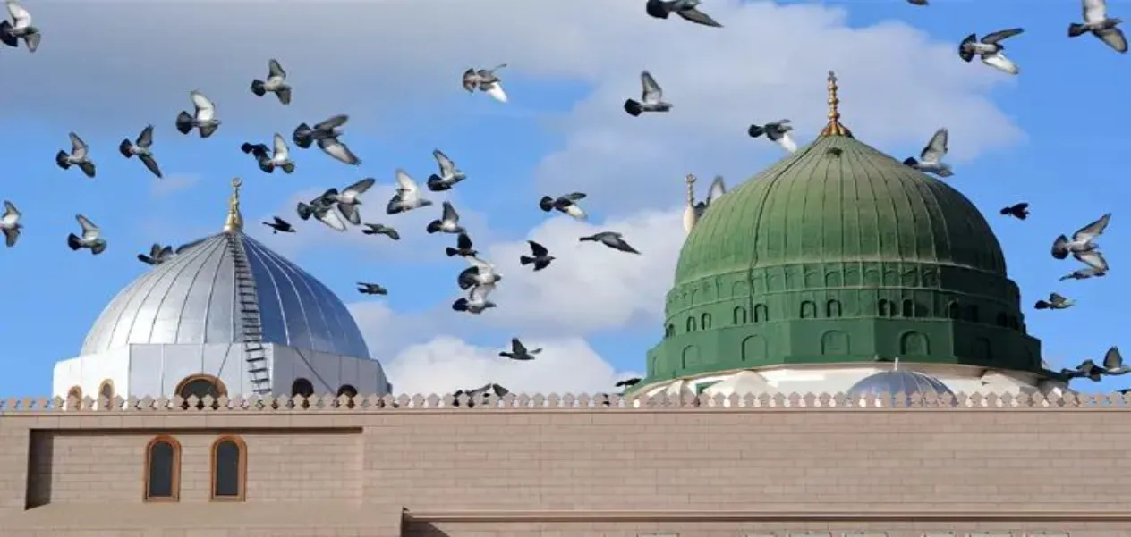 12 Rabi-ul-Awwal: Find out why this day is significant for the world.