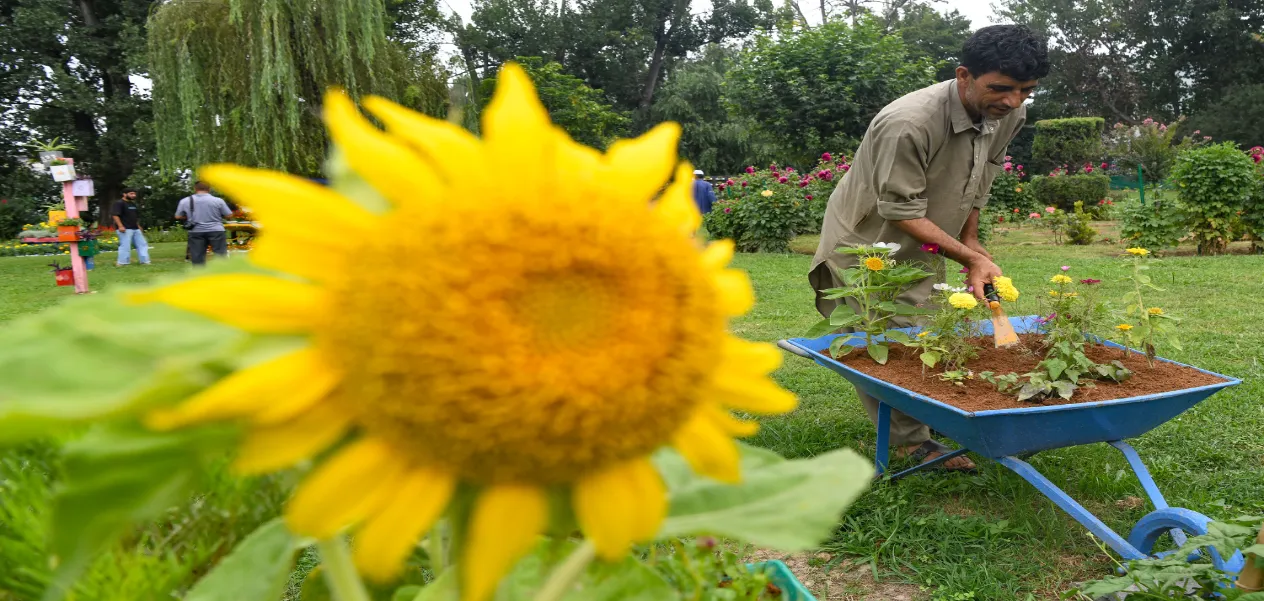 A unique 'Wonder Garden' made from scrap at Srinagar's Polo Ground Park.