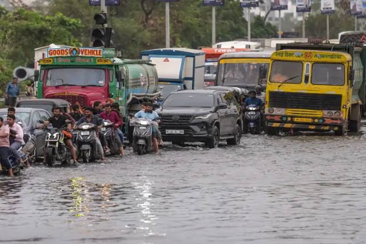 'Road Satyagraha': CJP worker continues hunger strike over poor roads in Palghar