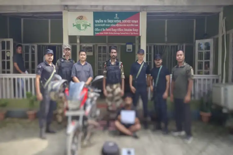 Assam forest officials rescue Tokay Gecko, apprehend man for alleged illegal wildlife trade in Kaziranga