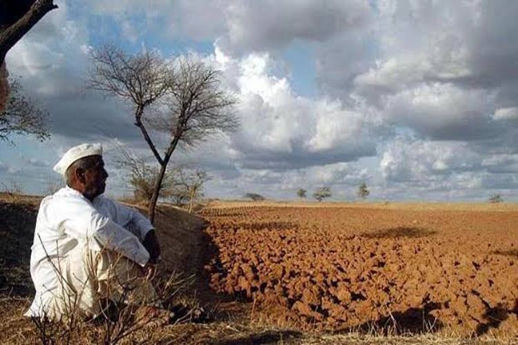 Lack of rain has reduced the area sown in the Marathwada region.
