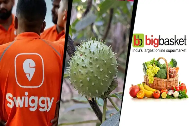 Karnataka FDA orders suspension of food licences over online sale of Datura seeds, fruits