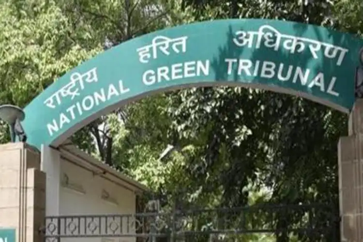 NGT seeks updated report on recovery of Rs 5.39 Cr environmental compensation from Haryana stone crushers