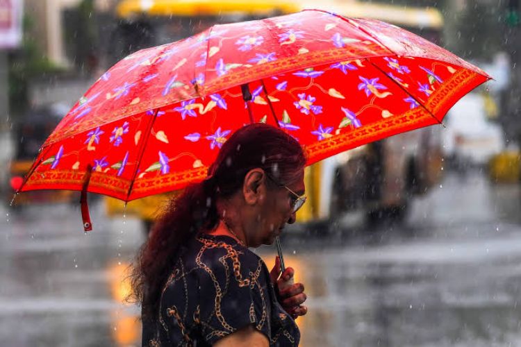 11 Jharkhand districts receive below-average rainfall, with Pakur receiving a 54% deficit.