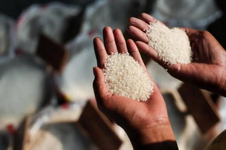 3,317 buyers from 138 countries register for India International Rice Conference