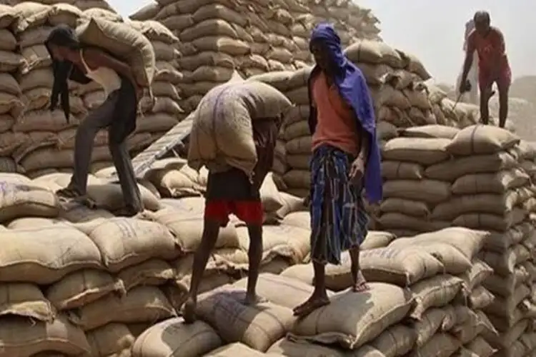 Gujarat deploys AI analysers for paddy quality check at 10 procurement centres in 4 districts
