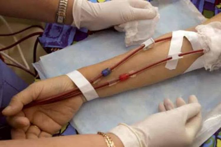 16,003 patients got free dialysis facility in Rajasthan: Official