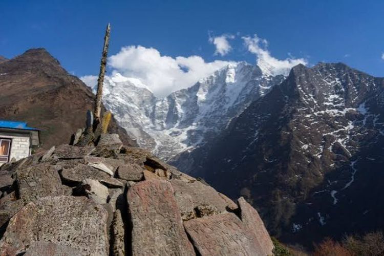  their way in the Churdhar forest of Shimla were rescued safely.