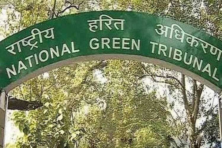 Encroachment on Nand Nagri park: NGT issues notice to MCD and others