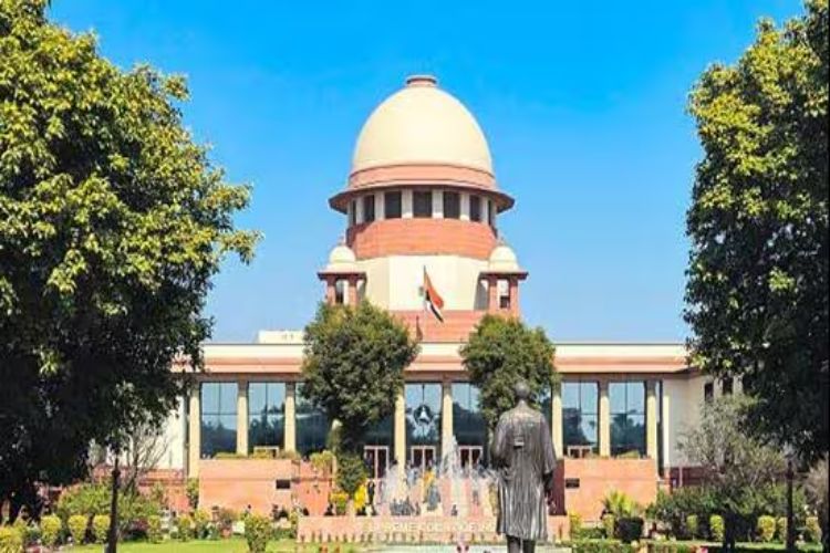 Supreme Court agrees to hear plea of ​​Wildlife SOS official in leopard poaching case