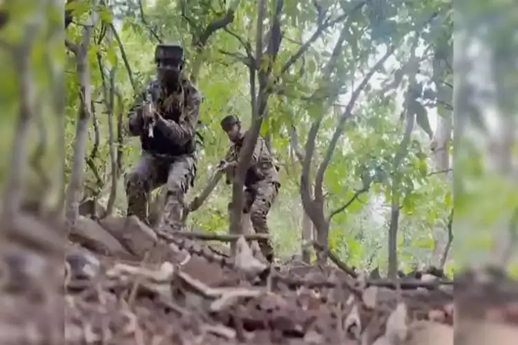 J-K: Security forces neutralise two terrorists in joint operation in Udhampur
