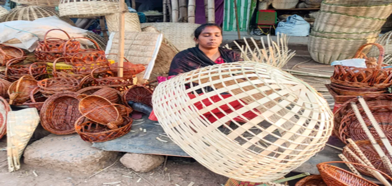 World Bamboo Day: India's Green Wealth and Resource for the Future