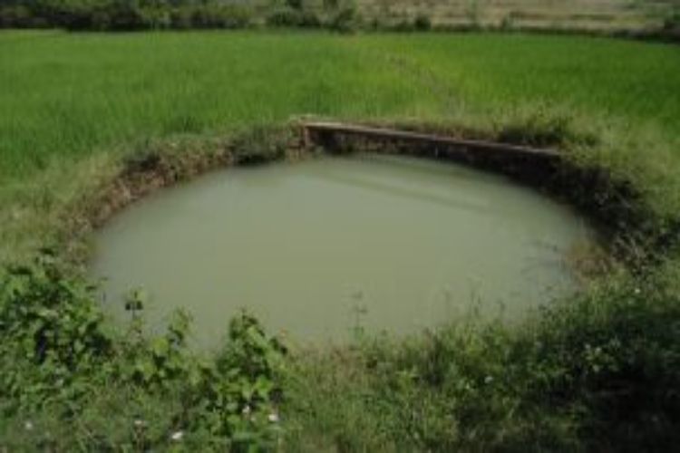 Jharkhand to take help of educational institutions to improve water schemes and their quality