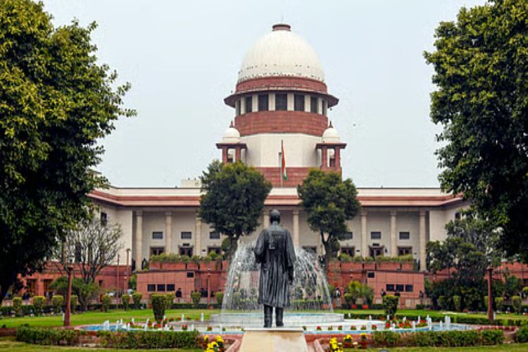 Supreme Court to constitute special bench to hear NHAI's plea on stray cattle